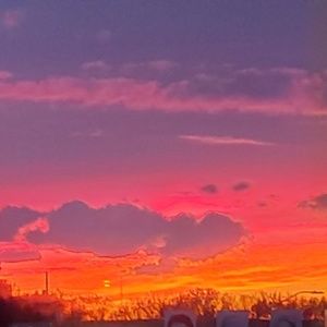 Meet your Posher, Misty